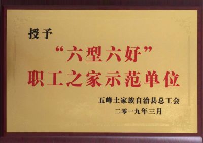 六型六好荣誉