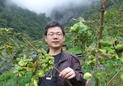 Dr. Zha Yuping of Hubei Provincial Academy of Forestry directed the construction of the base