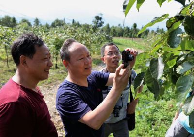 中国林科院资昆所陈晓鸣博士(中)考察基地