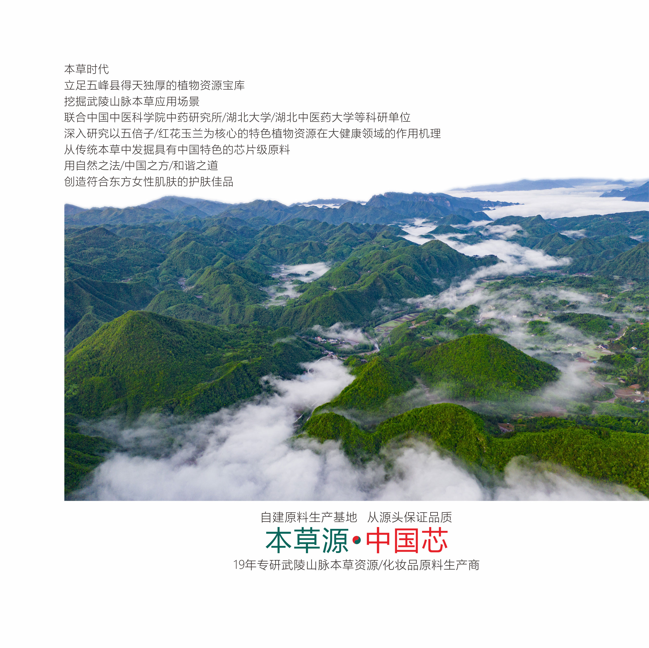 大健康产业