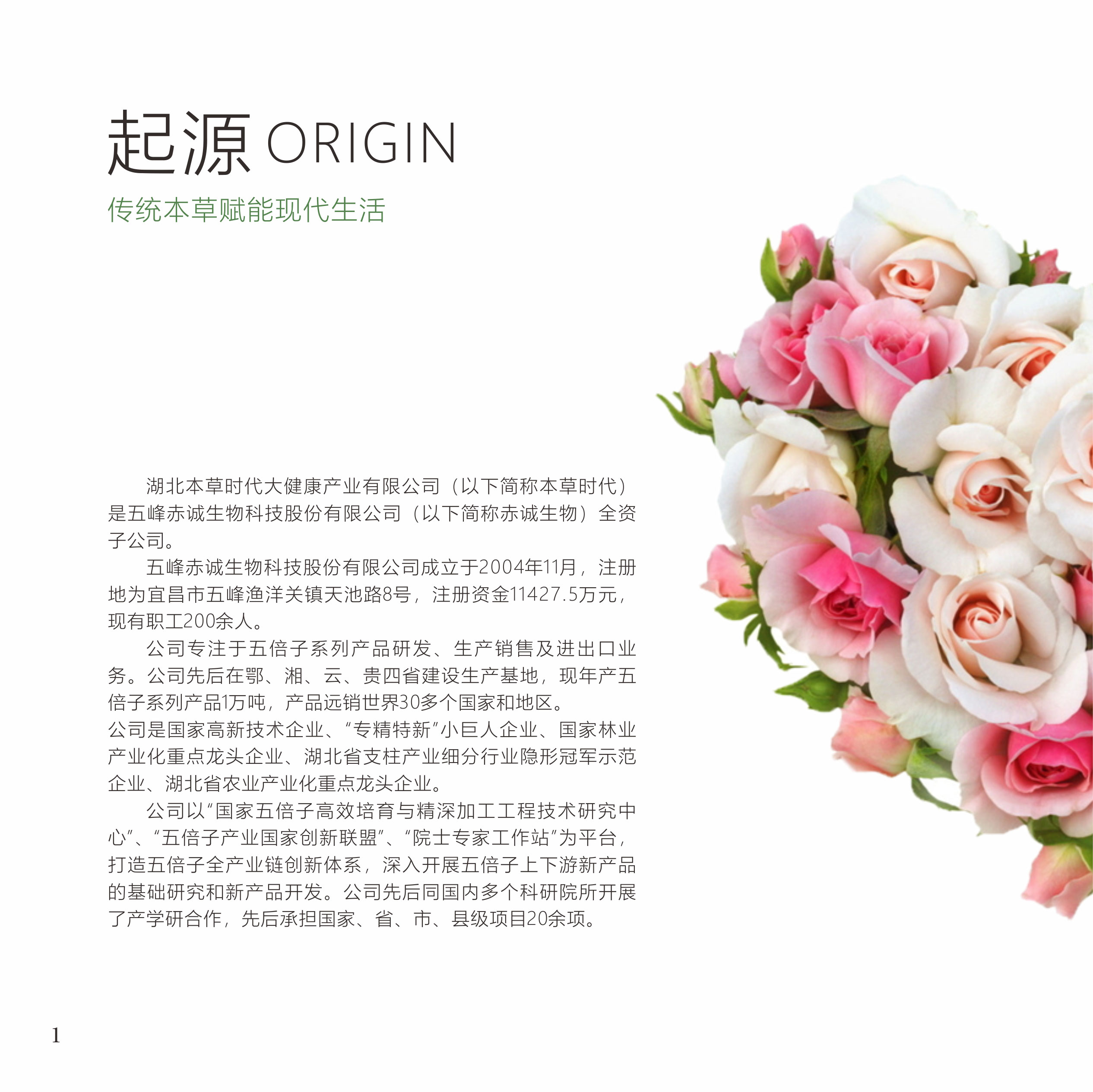 大健康产业