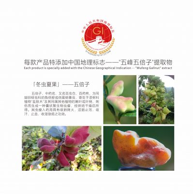 大健康产业