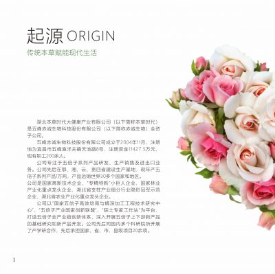 大健康产业