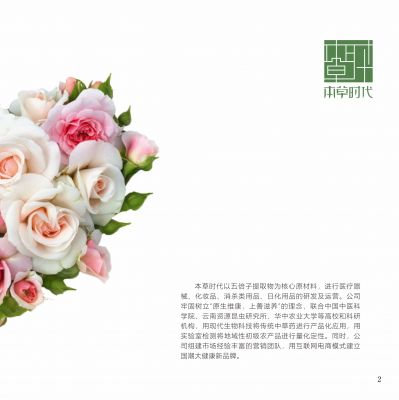 大健康产业